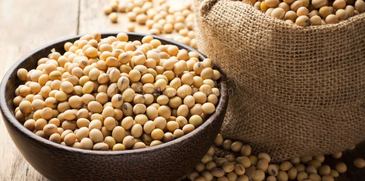 Agriculture Minister Threatens to Revoke Licenses of Soy Import Regulations Violators - RakyatPost.co