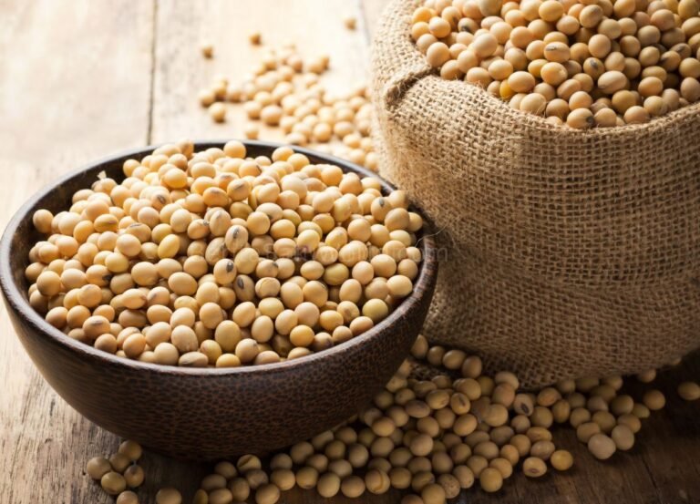 Agriculture Minister Threatens to Revoke Licenses of Soy Import Regulations Violators - RakyatPost.co