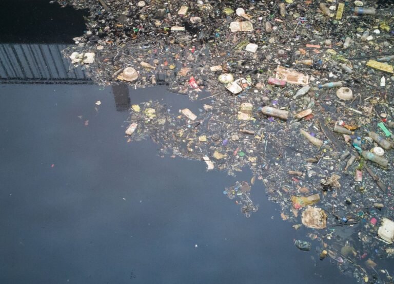 Historic River in Banten Filled with Garbage, Residents Anxious and Concerned About Environmental Impacts - RakyatPost.co