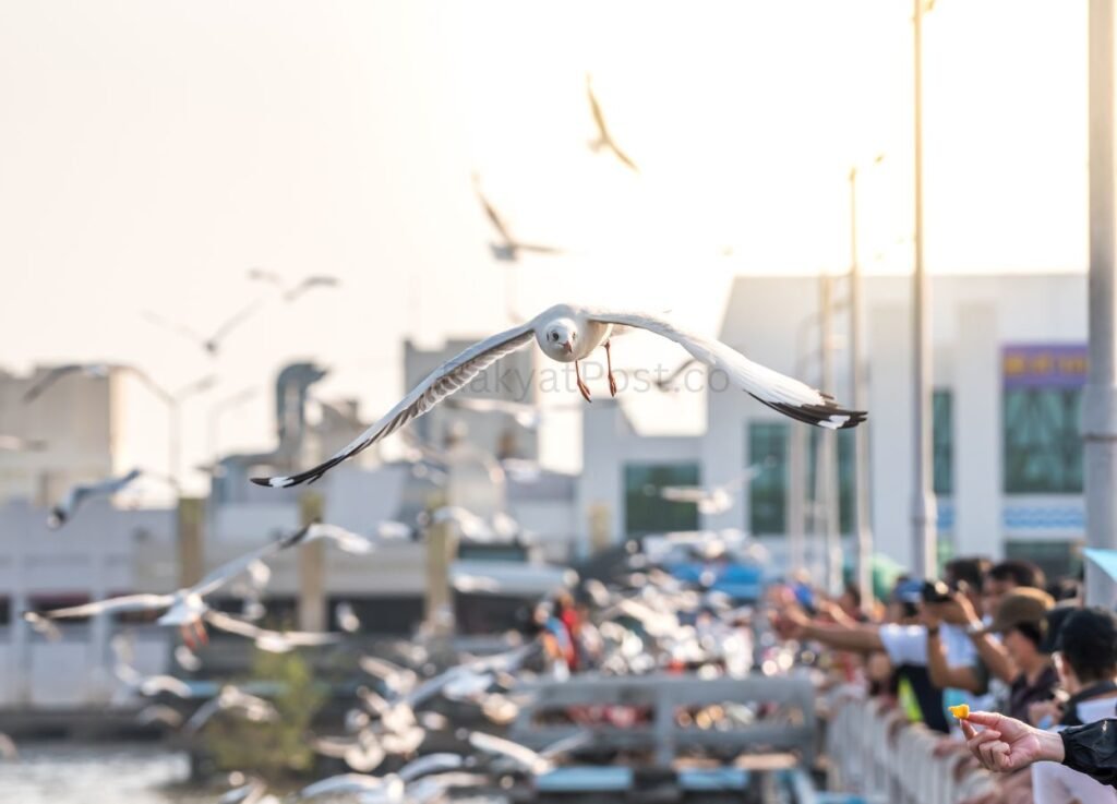 Welcomed by the Enthusiasm of Thousands of Visitors, PINDEX 2026 Successfully Held