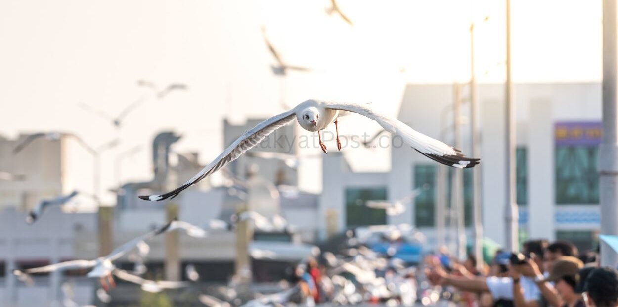 Welcomed by the Enthusiasm of Thousands of Visitors, PINDEX 2026 Successfully Held - RakyatPost.co
