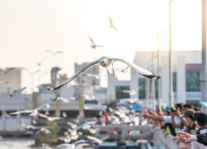 Welcomed by the Enthusiasm of Thousands of Visitors, PINDEX 2026 Successfully Held - RakyatPost.co