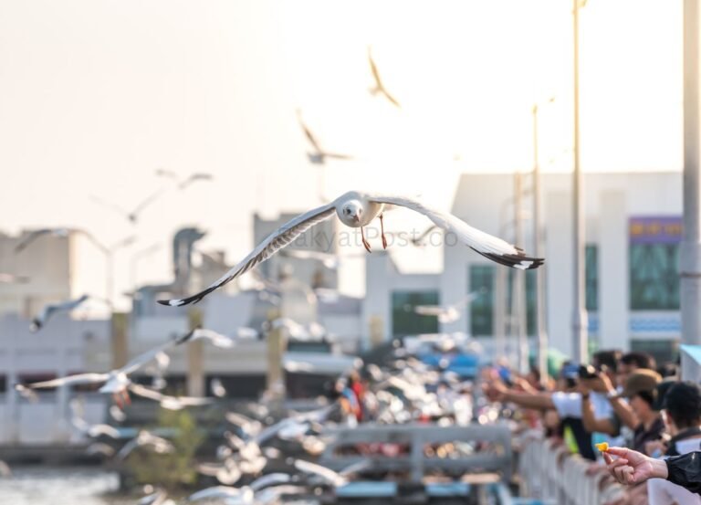 Welcomed by the Enthusiasm of Thousands of Visitors, PINDEX 2026 Successfully Held - RakyatPost.co