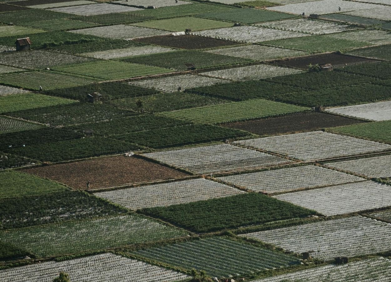 BNPB Steps Up Drought Preparedness Efforts in West Nusa Tenggara - RakyatPost.co