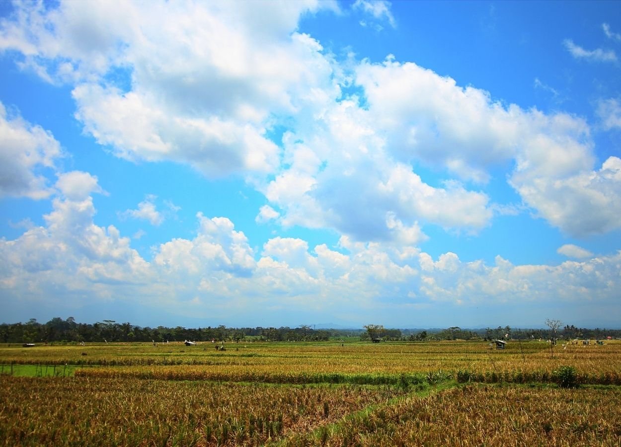 Bali Accelerates LP2B Data Collection to Protect Productive Farmland - RakyatPost.co