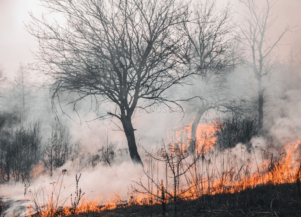 Hundreds of Residents Affected by Smoke from Jatiwaringin Landfill Fire, 154 People Suffer from ARTI - RakyatPost.co